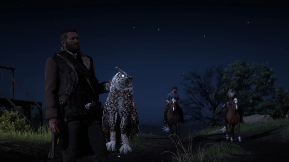 Screenshot from Red Dead Redemption 2