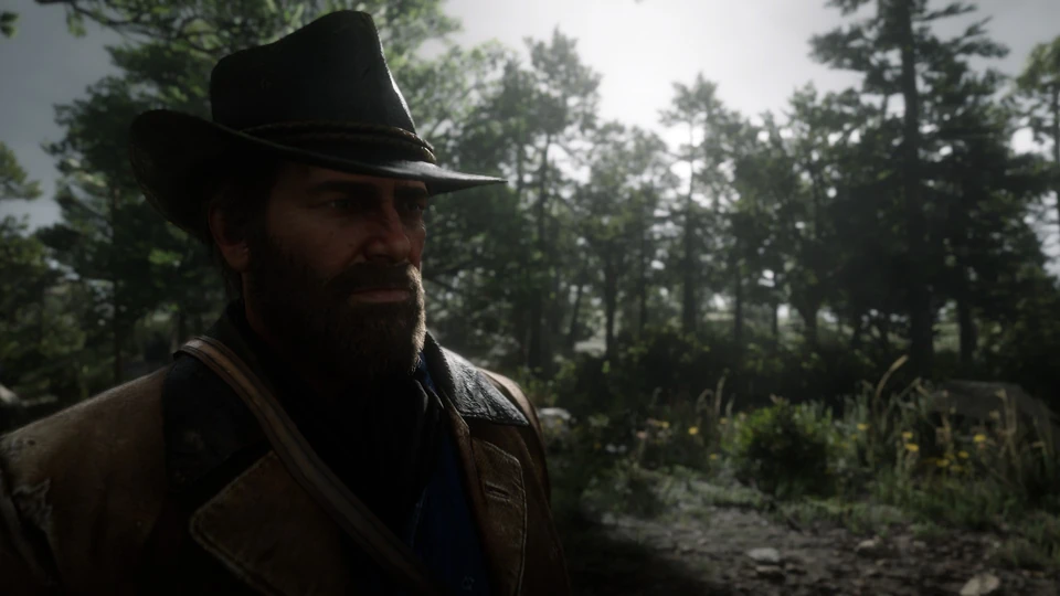 Screenshot from Red Dead Redemption 2