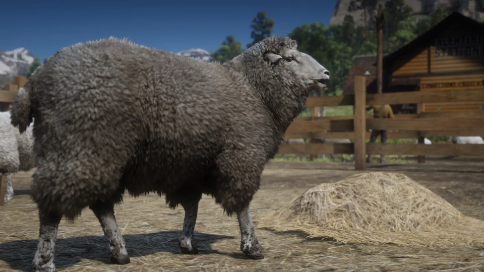 Screenshot from Red Dead Redemption 2